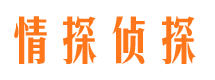 凤冈市婚外情取证